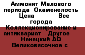 Аммонит Мелового периода. Окаменелость. › Цена ­ 2 800 - Все города Коллекционирование и антиквариат » Другое   . Ненецкий АО,Великовисочное с.
